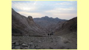 2023-09_159 Wadi Zawatin.jpg